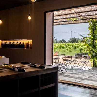 Dalí & Wine | Premium Private Tour with Coastal or Girona Add-On 5