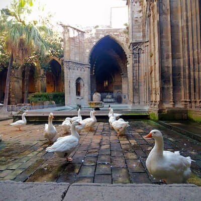 Barcelona Old City and Hidden Gems Private Walking Tour 5