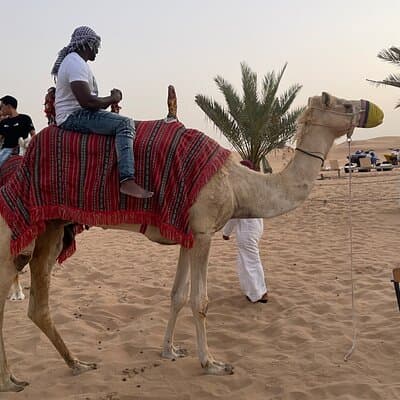 Morning Dune And Sand Boarding With Camel Ride 4