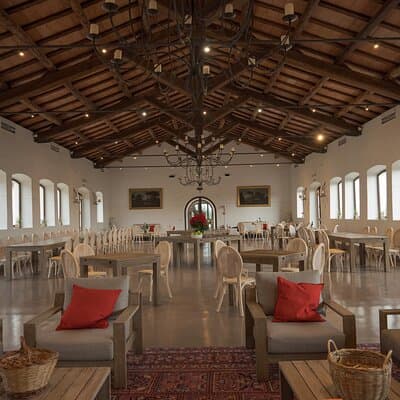 Truffle Hunting, Lunch & Cooking Class in Rome's Countryside 2