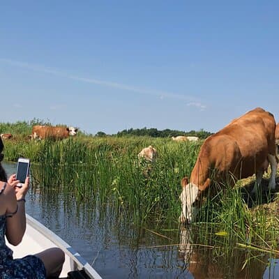 Private daytour from Amsterdam into the Countryside 4