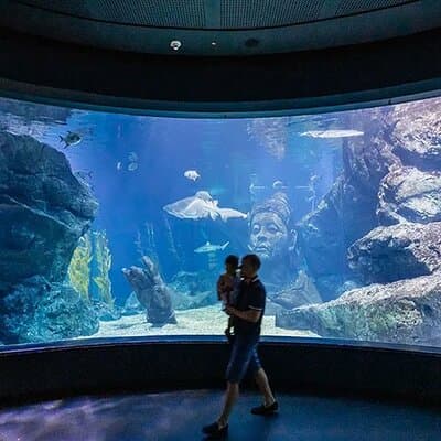 SEA LIFE Bangkok Ocean World Ticket 4