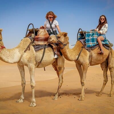 Dubai Dune Buggy Safari with Sandboarding, Camel Ride and Dinner 4