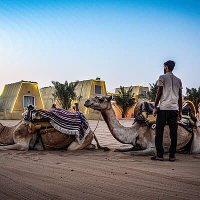 Private Morning Red Sand Desert Safari camel ride,Sand-board More 5