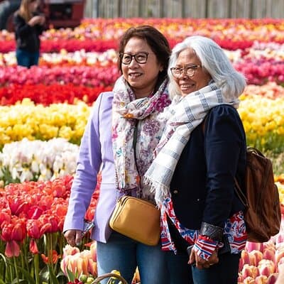 From Amsterdam: Keukenhof and Tulip Experience Tour 4