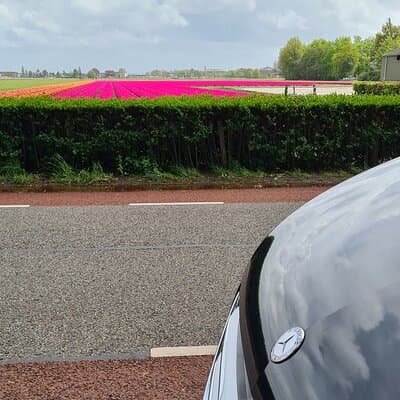 Amsterdam Keukenhof Gardens Round-Trip Transfer from Amsterdam 4