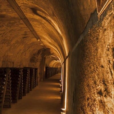 Champagne Mumm in Reims Private Half Day Tour from Paris 5