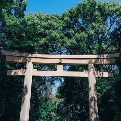 Tokyo Early Morning Tour Asakusa Meiji Shrine (Private Opt) 3