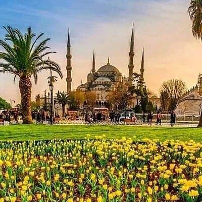 Istanbul Ultra VIP Private Car Hire with Licensed Driver 5