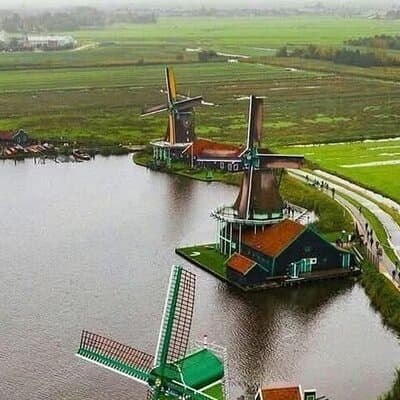 Tulips and Windmills Private Tour from Amsterdam