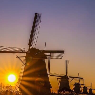 Tulips and Windmills Private Tour from Amsterdam 5