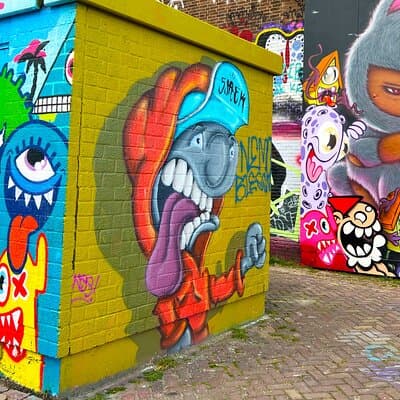 Street Art Walking Tour, private local Dutch guide 5