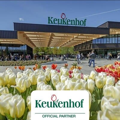 Private Skip-The-Line Keukenhof & Tulip Field Tour from Amsterdam