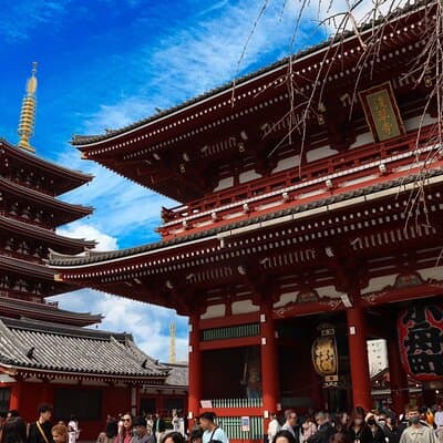 Private Tokyo Early Morning Tour (English & Spanish Available)