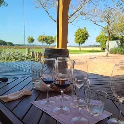 Lisbon Wine Tour: Azeitao, Setubal and Arrabida and Hotel Pickup 2