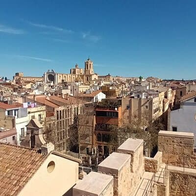 Tarragona Private Escape: Ancient Ruins, Olive Oil & Soulful Meal 3