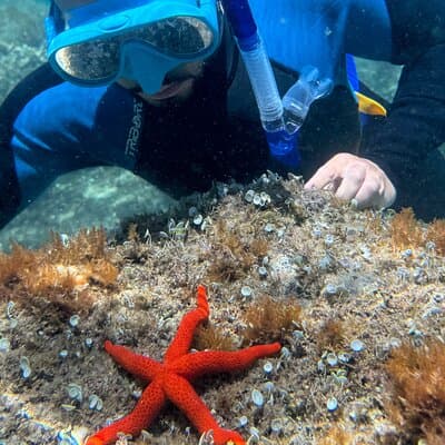 Barcelona Wild Experience: Kayak and Snorkel in Costa Brava 5