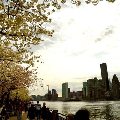 New York City Tour With Professional Photographer 3