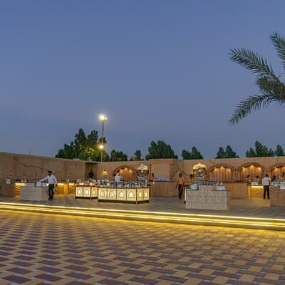 Private Vegan and Vegetarian Friendly Safaris Dubai 2