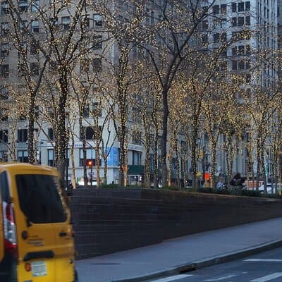 Private New York Downtown Highlights Half Day Tour 4