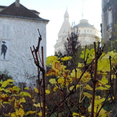 Paris Montmartre Decadent Food, Wine, Cheese and Pastries Tour 5