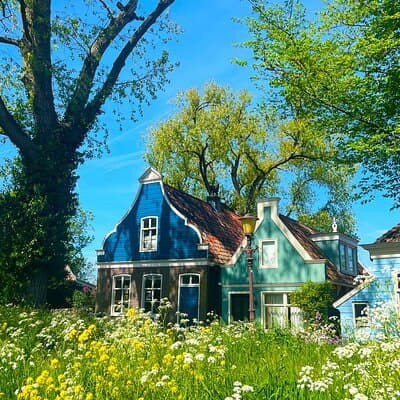 Bike Tour of Amsterdam Countryside and Villages, private guide 3