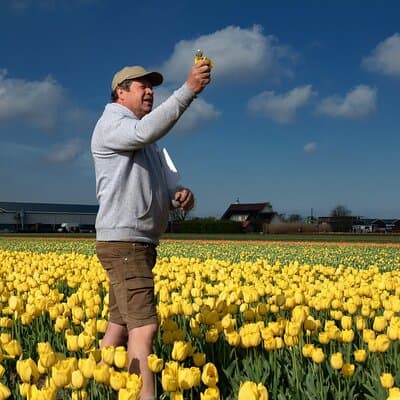 Amsterdam: Day trip to Tulip Farm, Keukenhof + Windmill Cruise 3