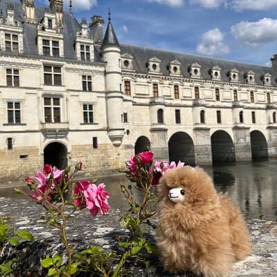 Small Group 3 Loire Valley Castles & Wine Tasting Guided Tour