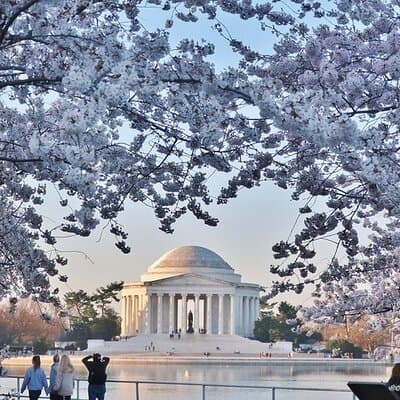 Private Full Day Washington DC Tour from New York City 4