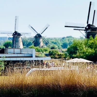 Private tours to Kinderdijk, Delft, The Hague from Amsterdam 8h