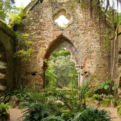 The Other Side of Sintra - Forgotten Woods