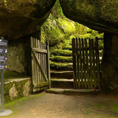 The Other Side of Sintra - Forgotten Woods 2