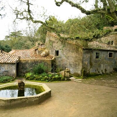 The Other Side of Sintra - Forgotten Woods 3