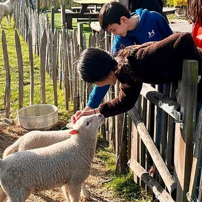 Amsterdam private tour to windmills, cheese farm and villages 3