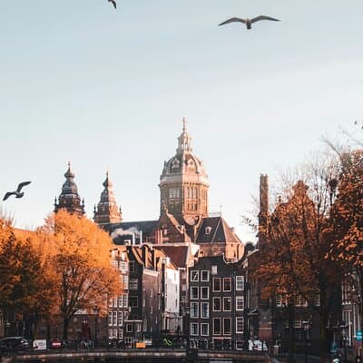 Amsterdam Red-light District Tour for Groups English or German 4