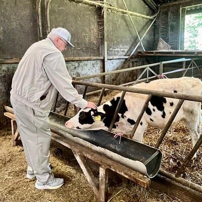 Amsterdam private tour to windmills, cheese farm and villages 4