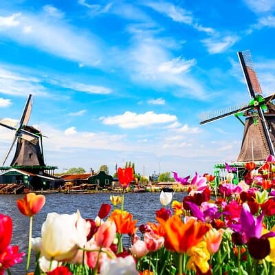 Amsterdam: Windmills, Cheese and Volendam Tour with Video Guide 4