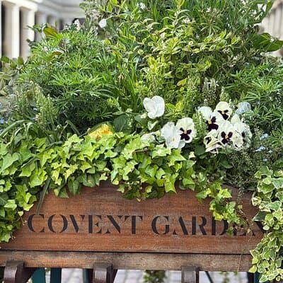 Secrets of London Covent Garden & Rules Restaurant Tour 3
