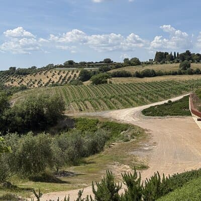 Tuscany & Pitigliano Day Tour from Rome with Wine Tasting & Lunch 2