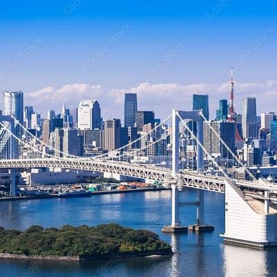 Private Day Tour in Tokyo with Government-Licensed Guide