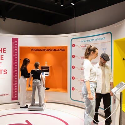 Body Worlds Amsterdam Admission Ticket 5