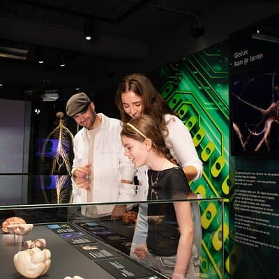 Body Worlds Amsterdam Admission Ticket 3