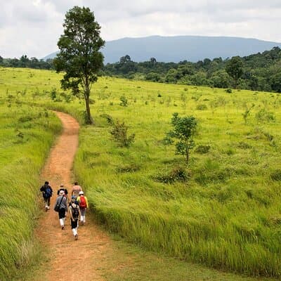 Khao Yai: Waterfalls, Deer Spotting & Jungle Walks Day Tour 2