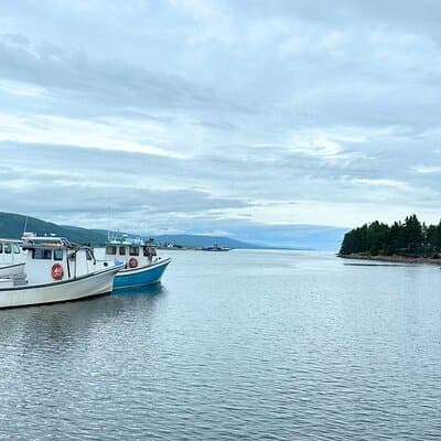 Ingonish and Keltic Lodge 6 Hours Cabot Trail Tour 5