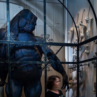 Art Zoo Museum Amsterdam Tickets 3
