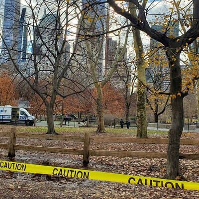 Central Park: Scandal & Vice Walking Tour