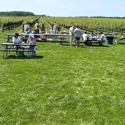 Private Luxury Wine Tours of Long Island Pindar Winery 5