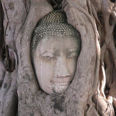 Bangkok: Private Ayutthaya UNESCO Heritage Tour 3