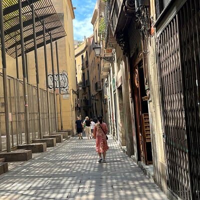 Barcelona: Guided City Tour by Local Transport - Metro, Bus, Tram 4