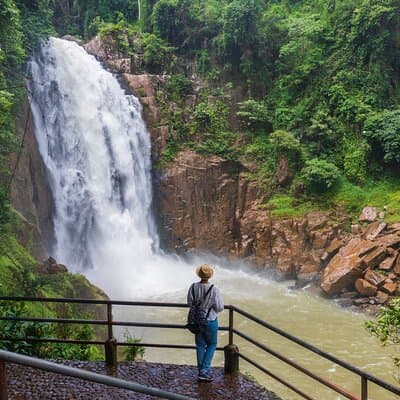 Khao Yai: Waterfalls, Deer Spotting & Jungle Walks Day Tour